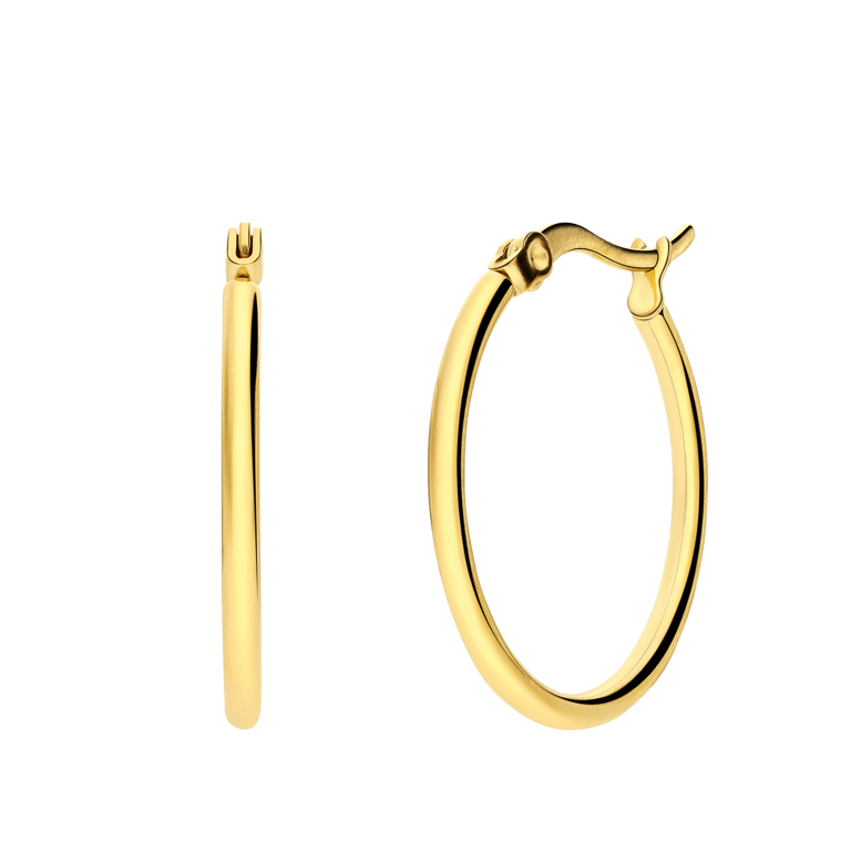 Stalen Goldplated Oorringen Mm Voor Dames Lucardi Nl