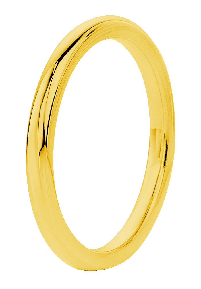 Gerecycled Stalen Ring Goldplated Lucardi NL