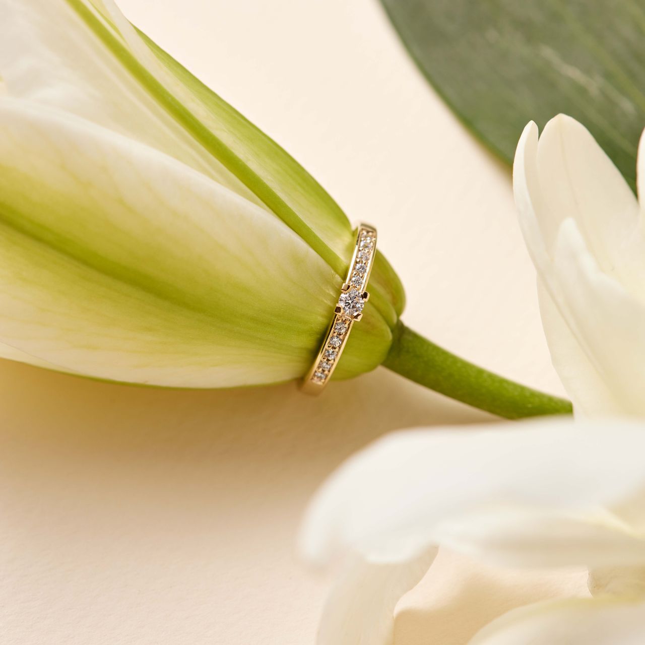14K geelgouden aanzoekring diamant Snowdrops H101
