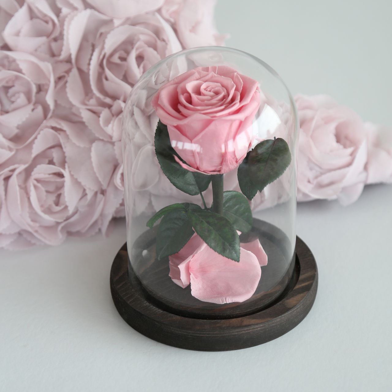 Everlasting Rose pink