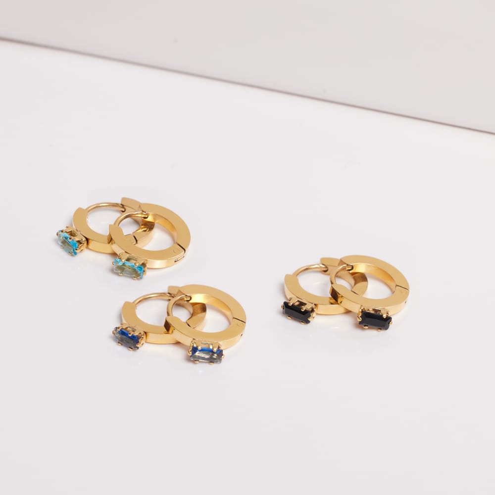 Stainless steel goldplated oorringen zwart