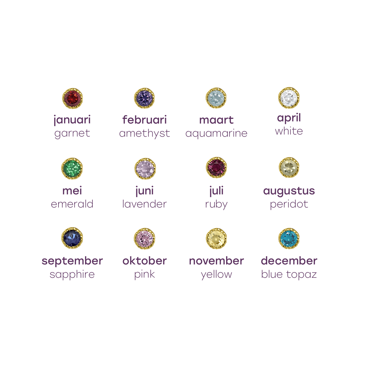 Stainless steel oorbellen met geboortesteen januari