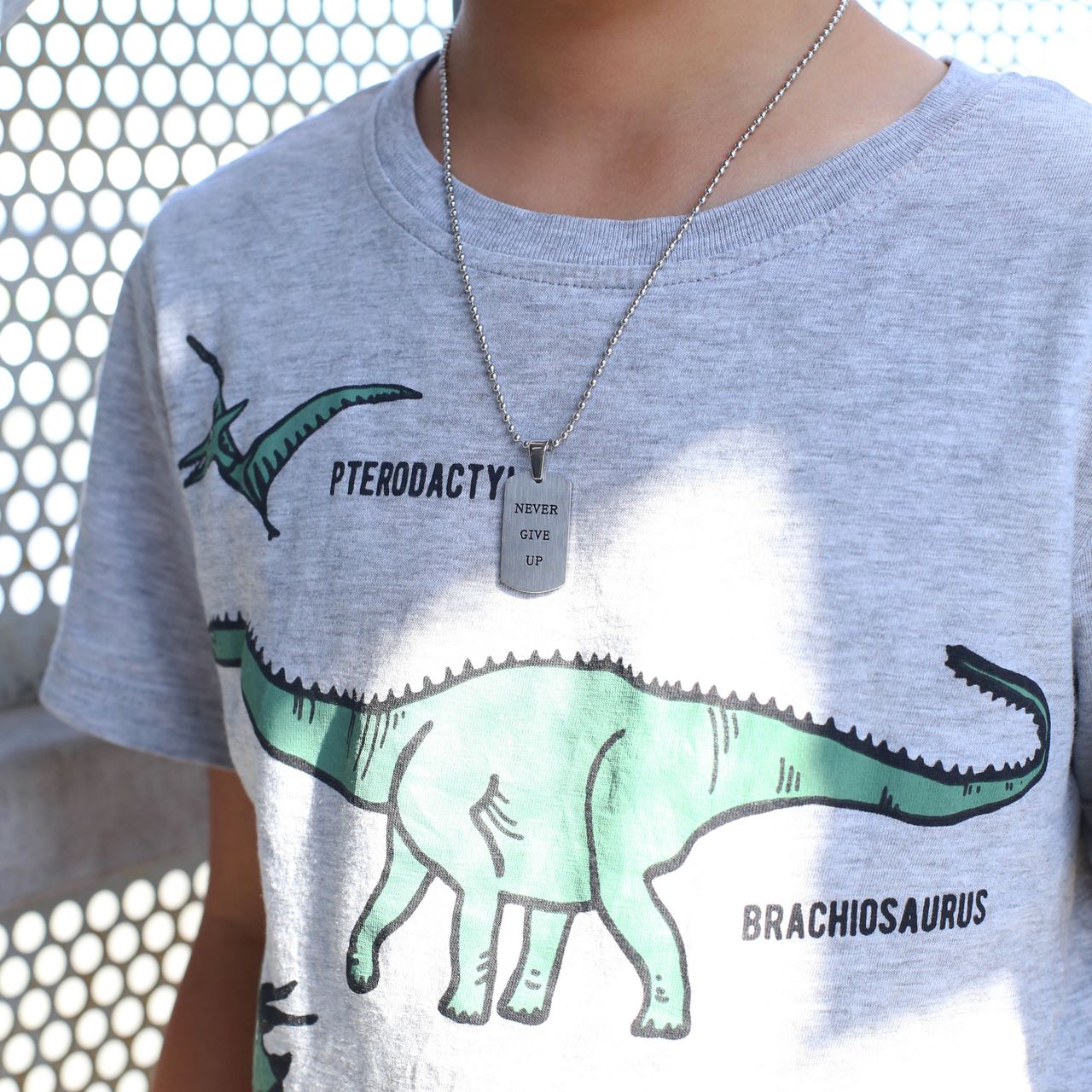 Gerecycled stainless steel ketting & hanger plaat mat never give up