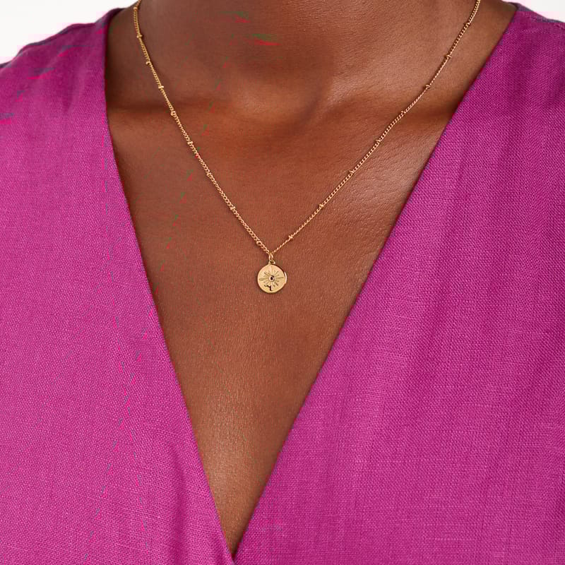 Stainless steel goldplated ketting met hanger munt met zirkonia voor dames