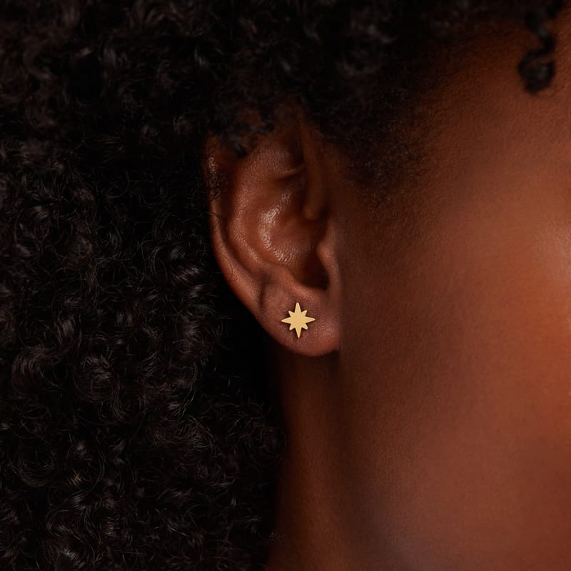 Stainless steel goldplated oorbellen met ster