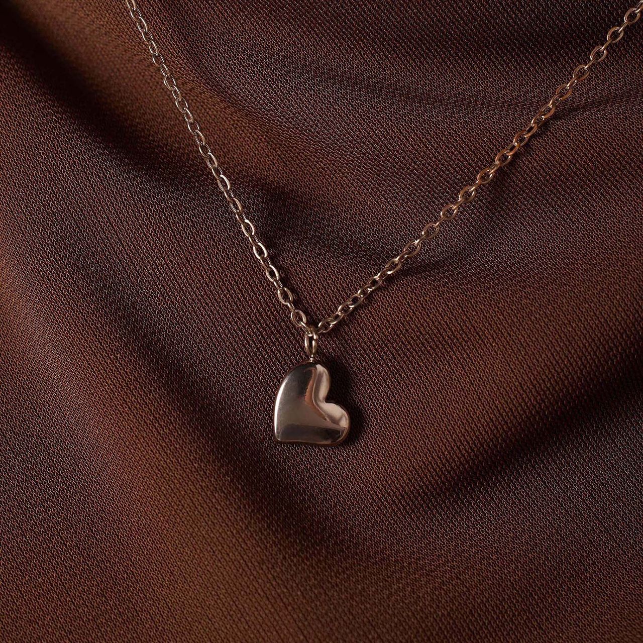 Stainless steel ketting Moeder/Dochter hart/hart