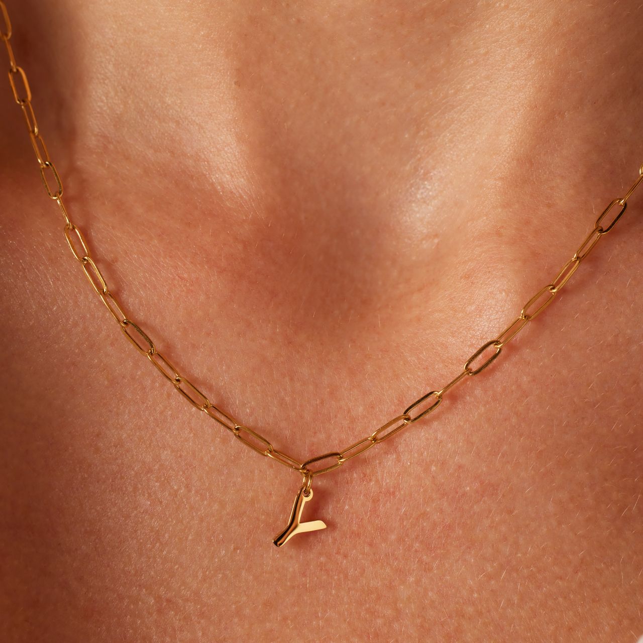 Stalen goldplated ketting met hanger letter Y voor dames