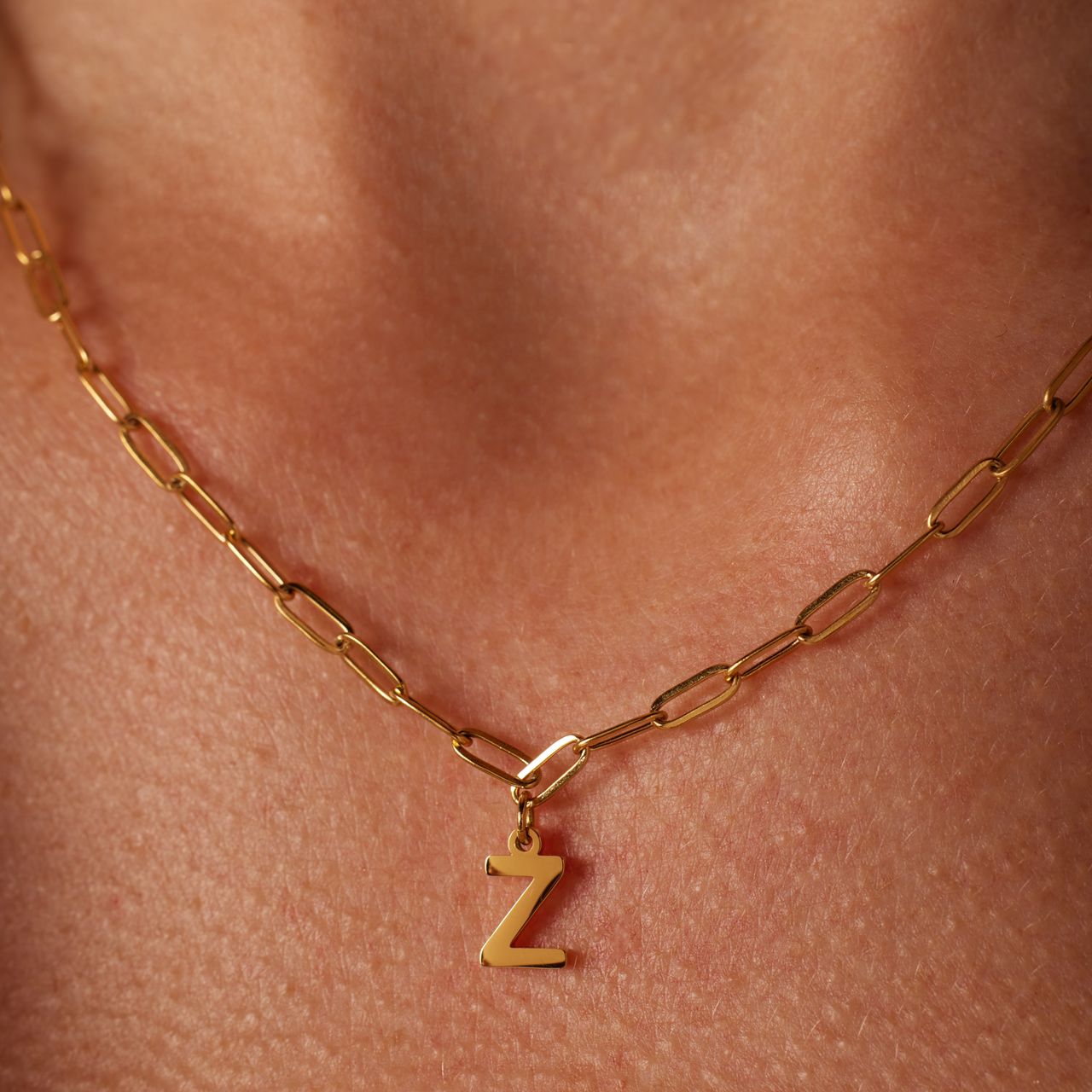 Stalen goldplated ketting met hanger letter Z voor dames