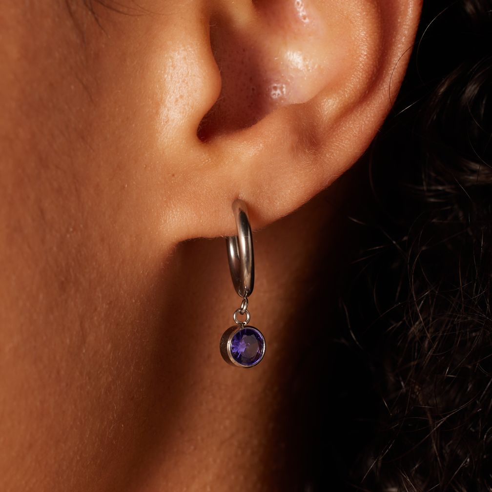 Stainless steel oorbellen met geboortesteen februari