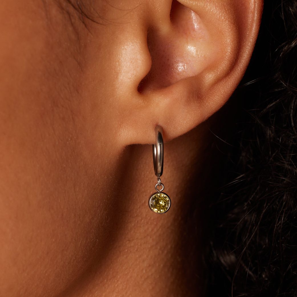 Stainless steel oorbellen met geboortesteen november