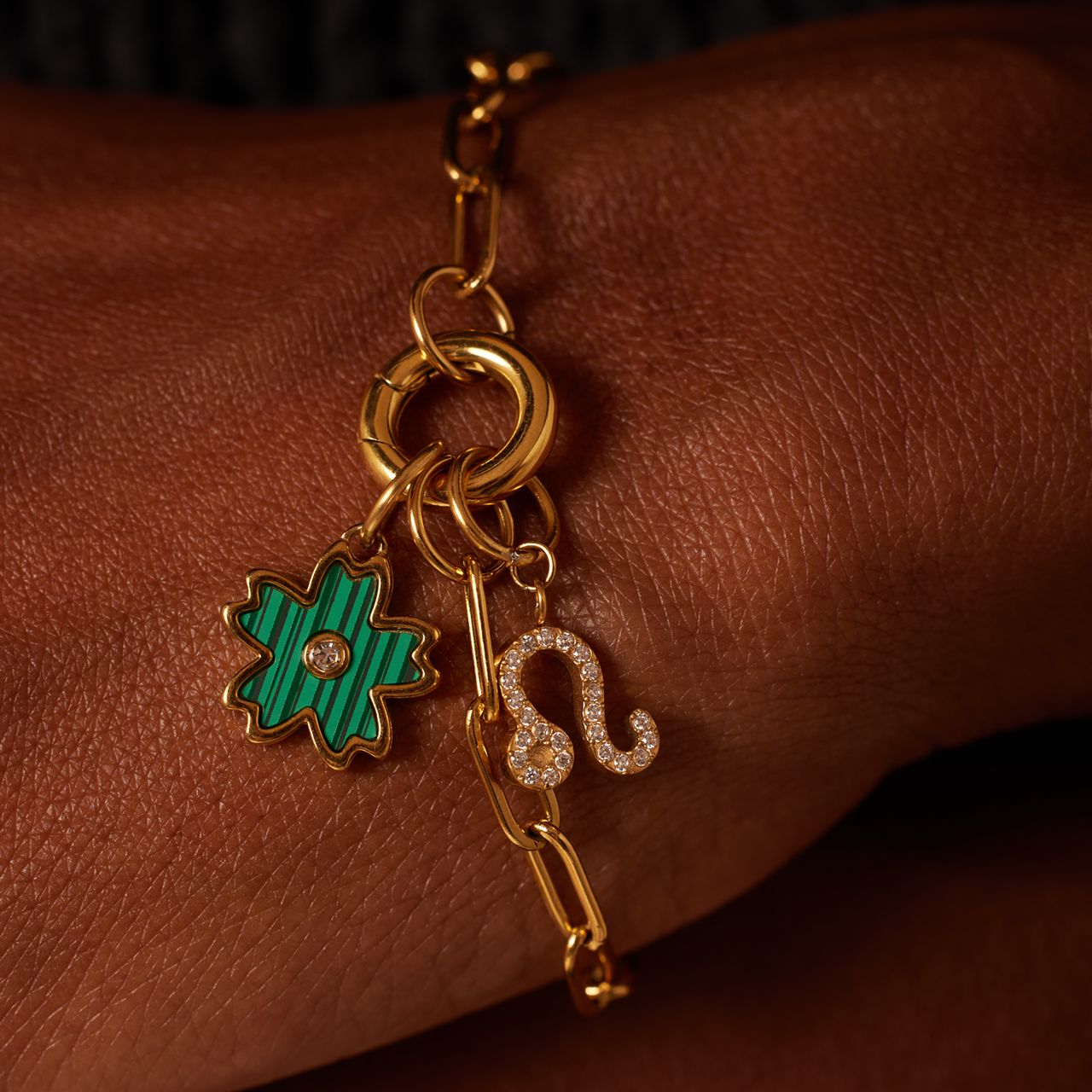 Stainless steel goldplated sterrenbeeldhanger Leeuw met zirkonia voor dames