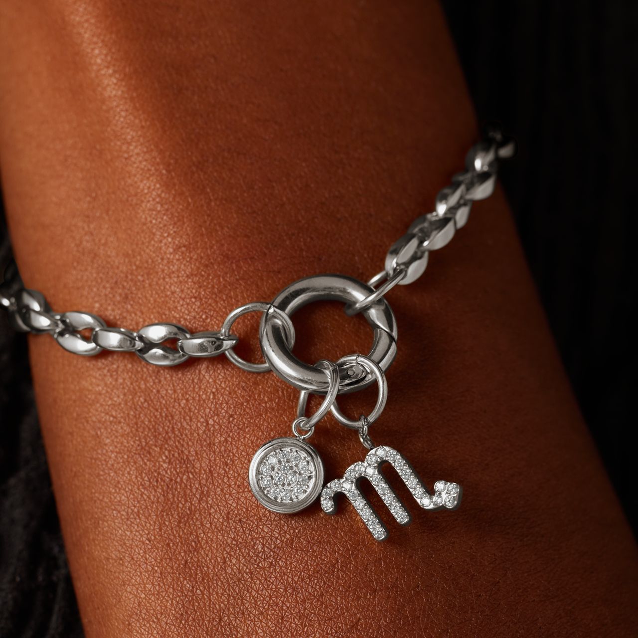 Stainless steel bedel schorpioen