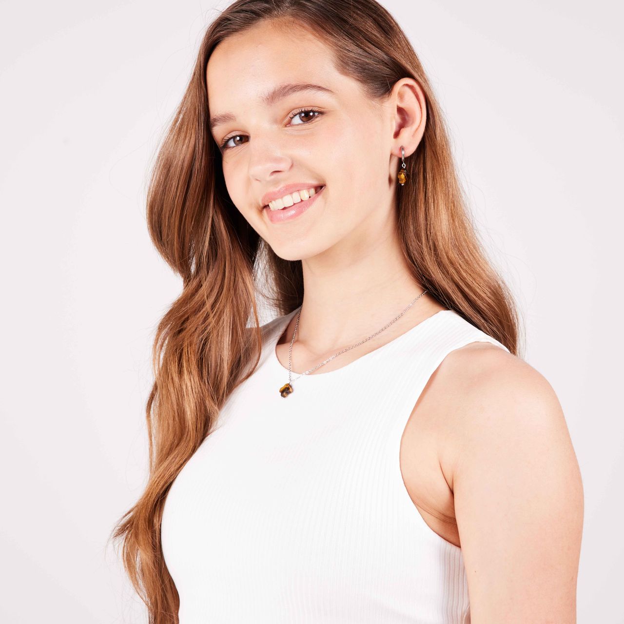 Stainless steel armband met tijgeroog