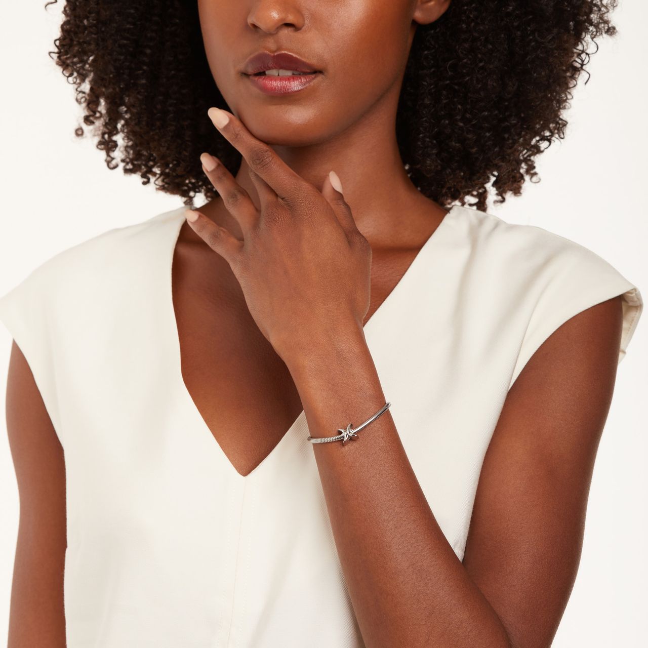 Stainless steel bedel sterrenbeeld vissen