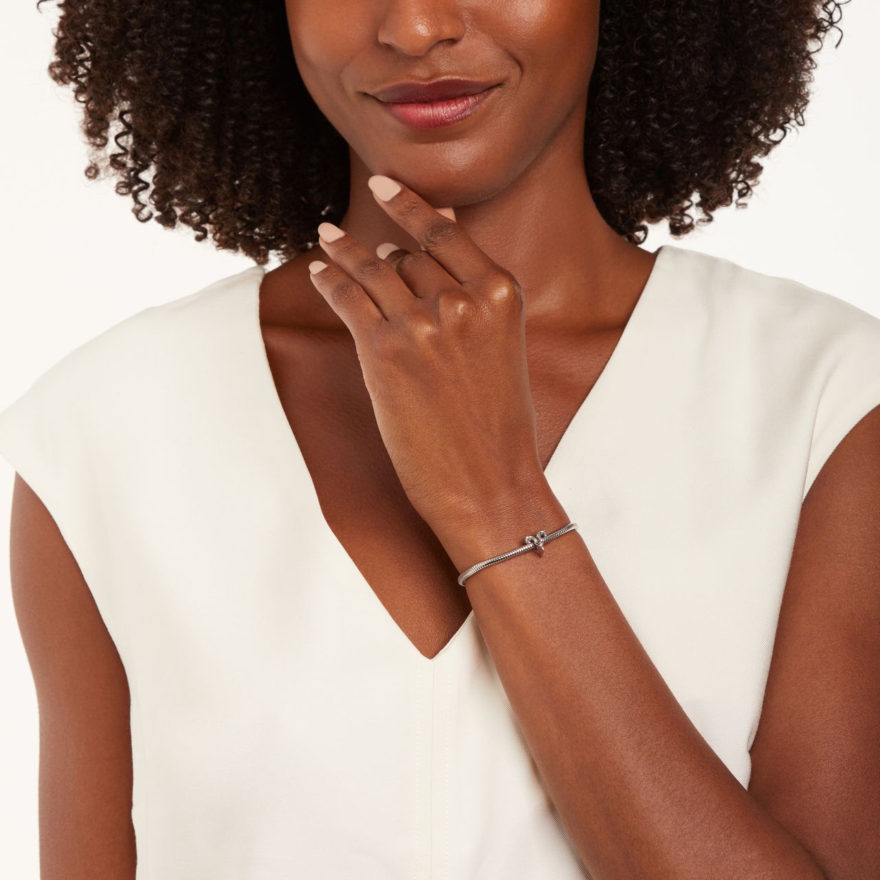 Stainless steel bedel sterrenbeeld ram