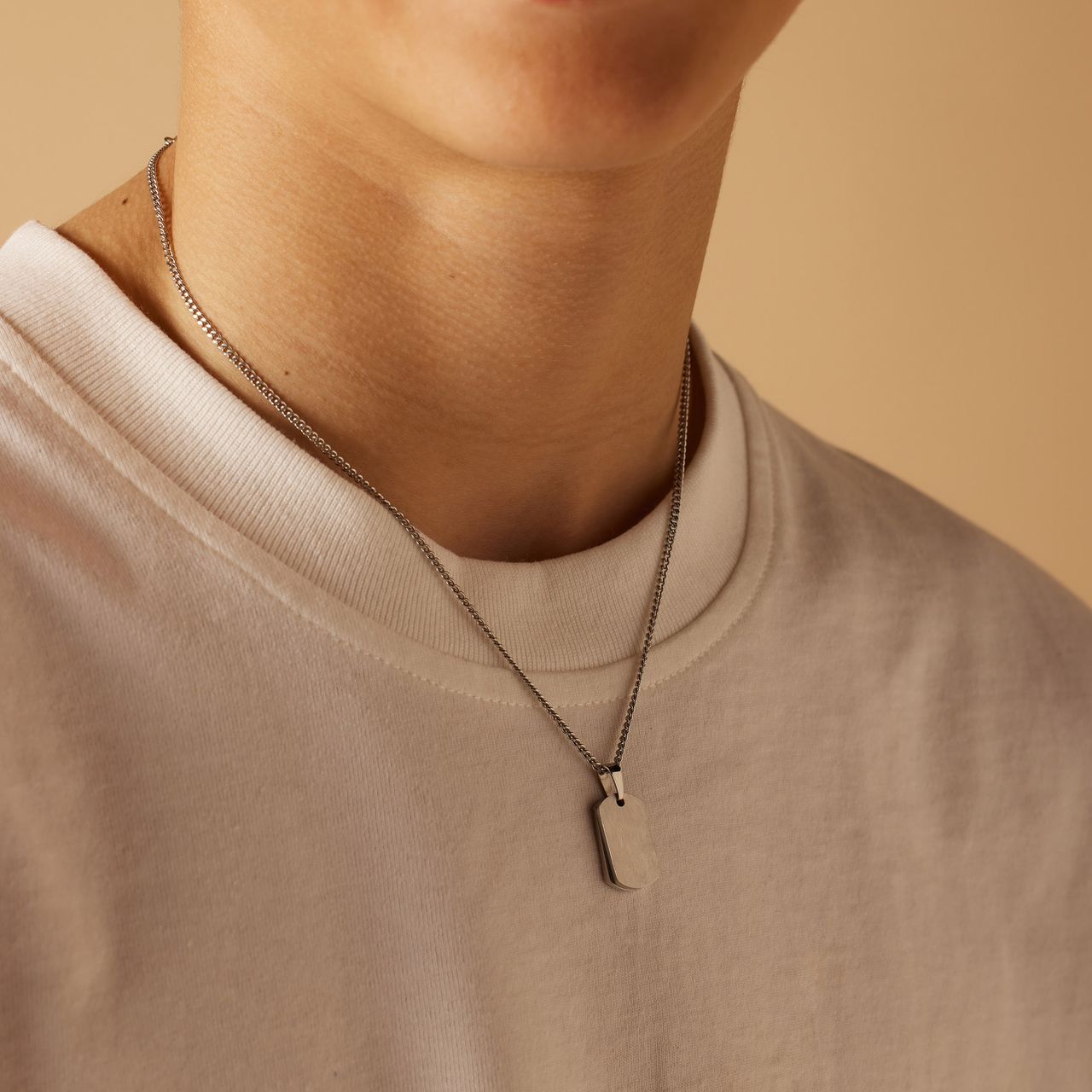 Stainless steel ketting met hanger 2 platen