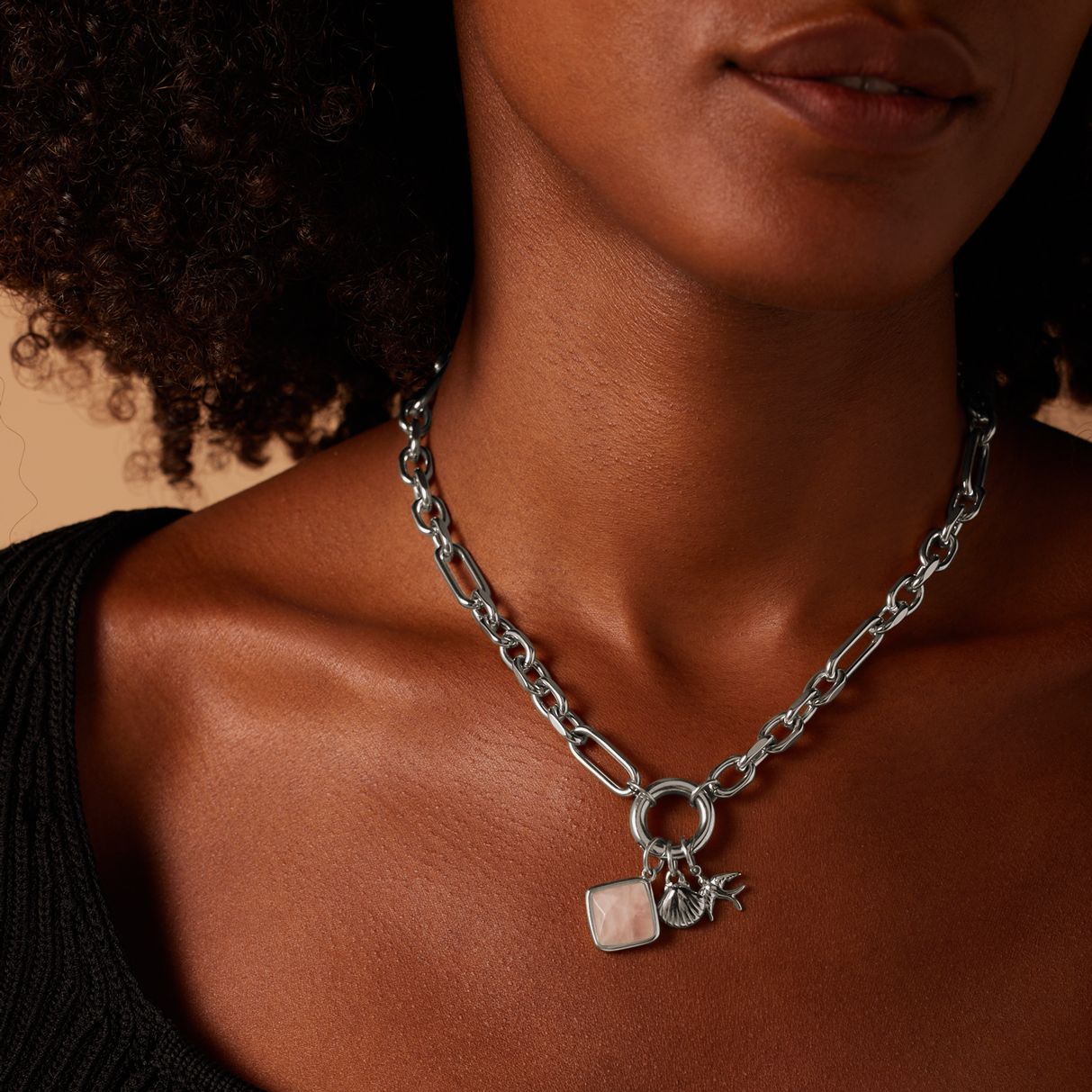 Stainless steel bedel zwaluw