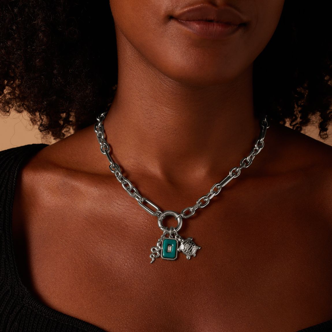 Stainless steel bedel rechthoek groen