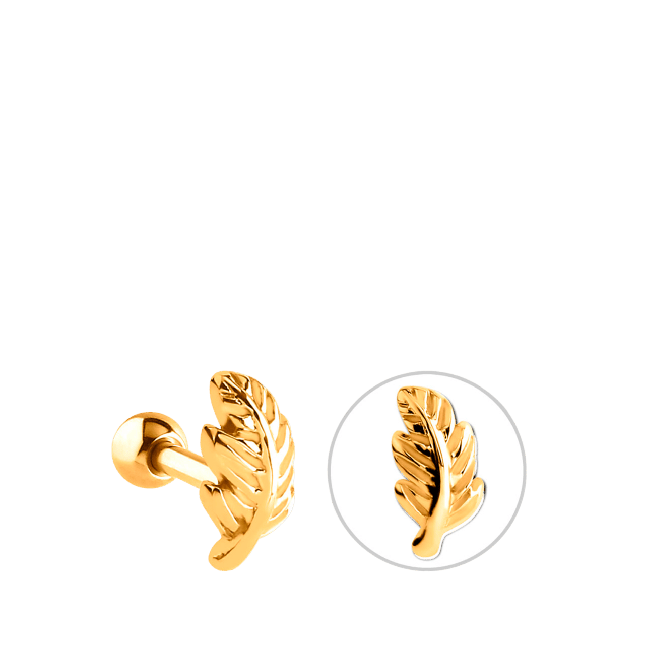 Stainless steel helixpiercing goldplated veer