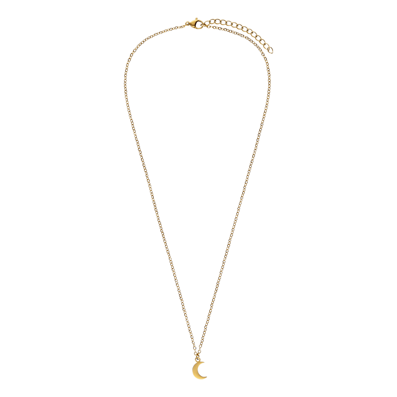 Myla stalen goldplated ketting voor dames