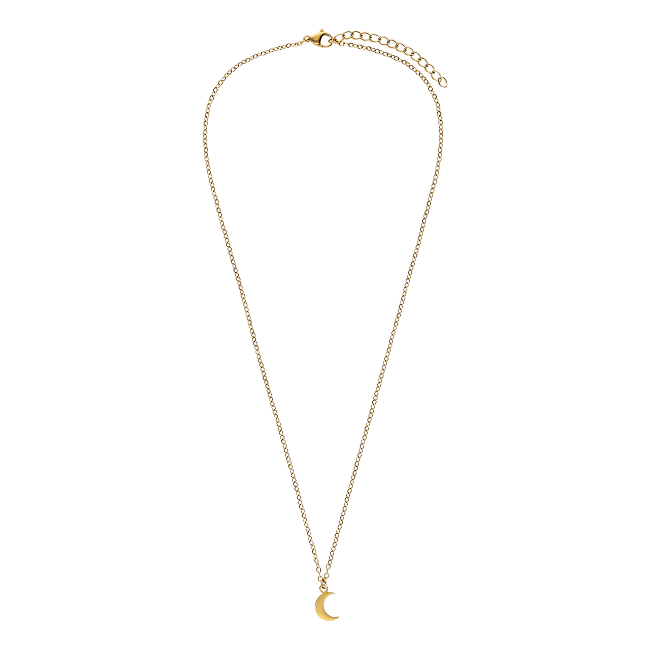 Stainless steel goldplated ketting met hanger voor dames