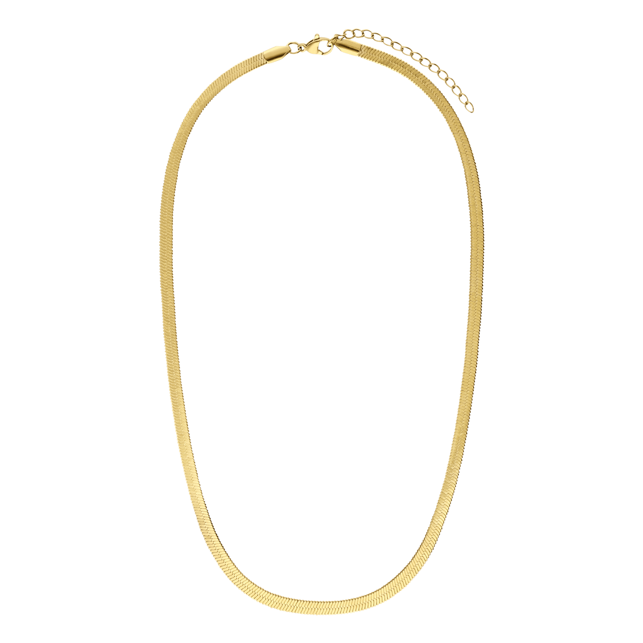 Stalen goldplated ketting voor dames
