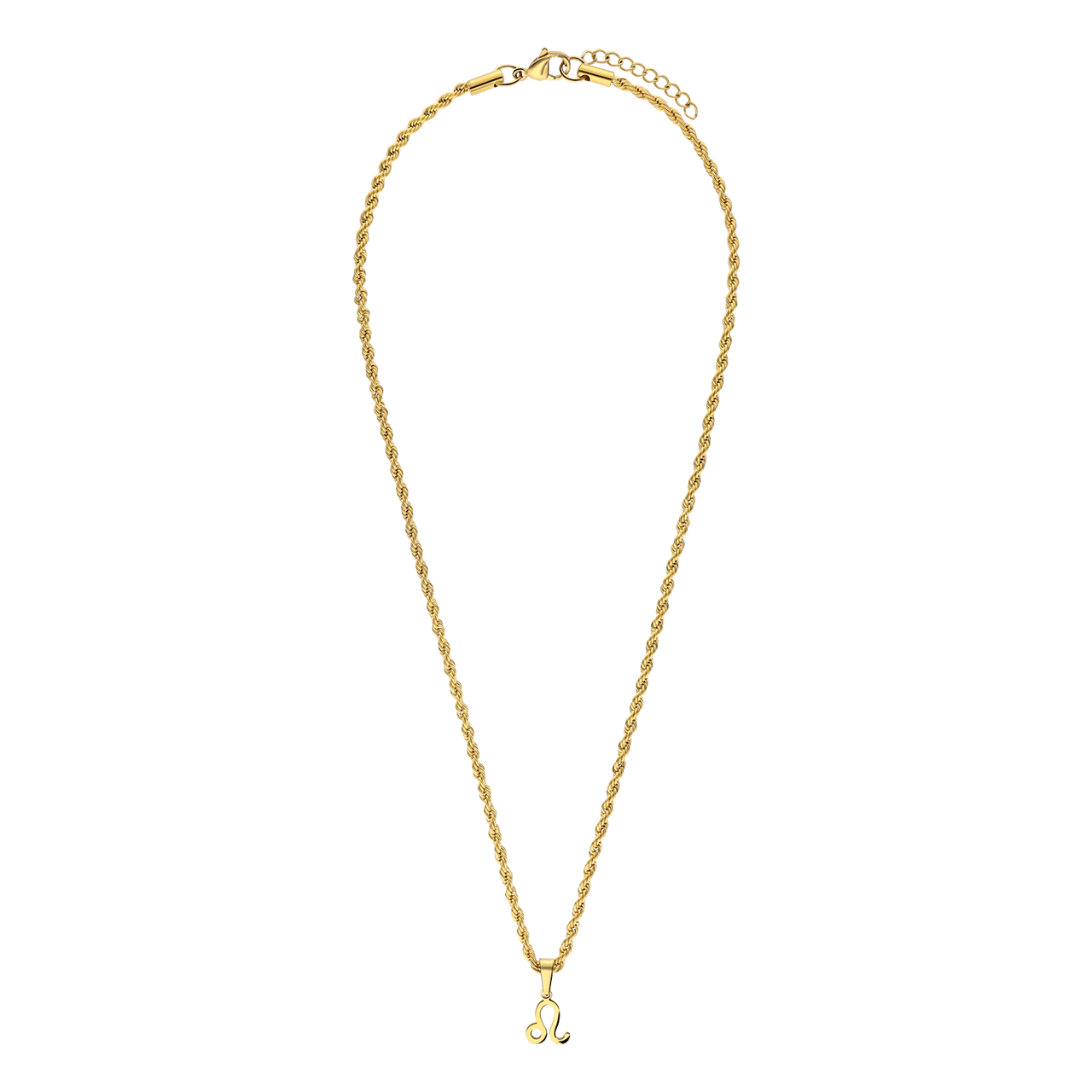 Stainless steel goldplated ketting&hanger sterrenbeeld