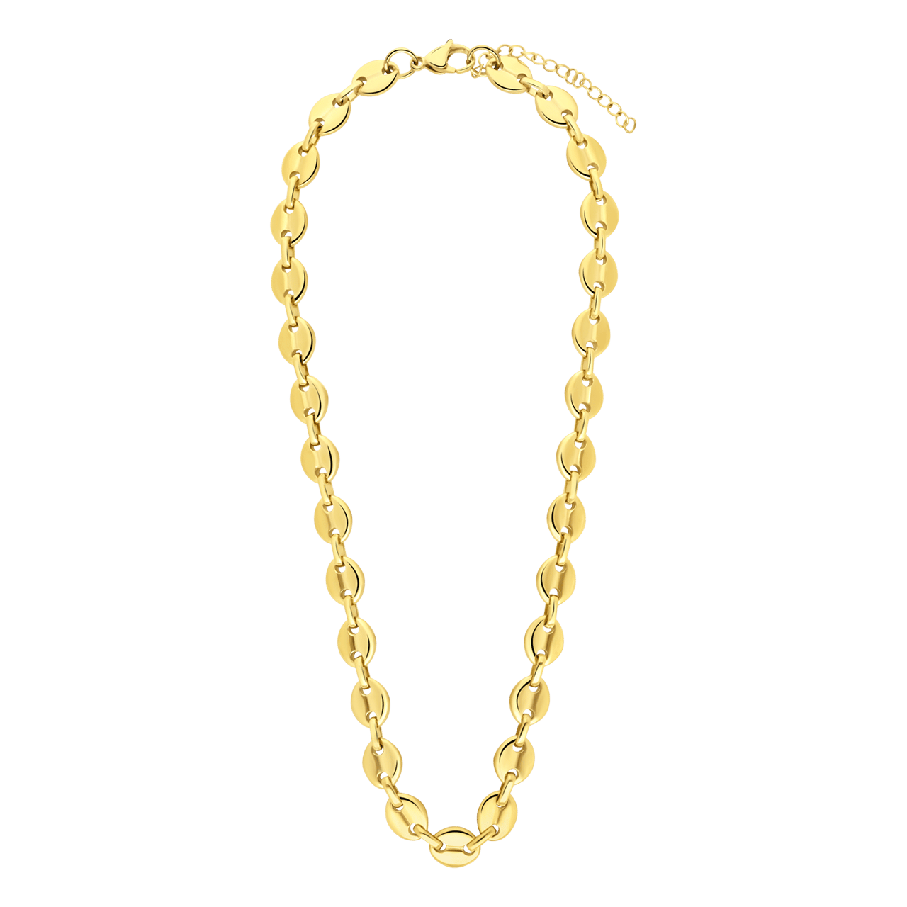 Stainless steel goldplated ketting voor dames