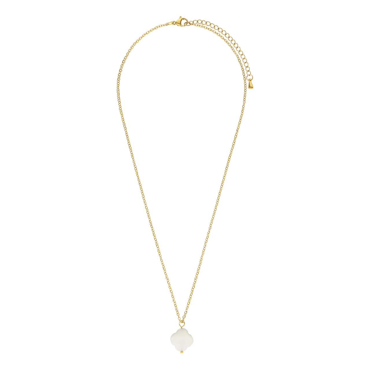 Stainless steel goldplated ketting met maansteen