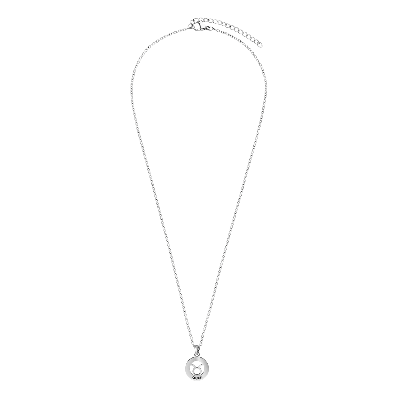 Stainless steel ketting met sterrenbeeld stier