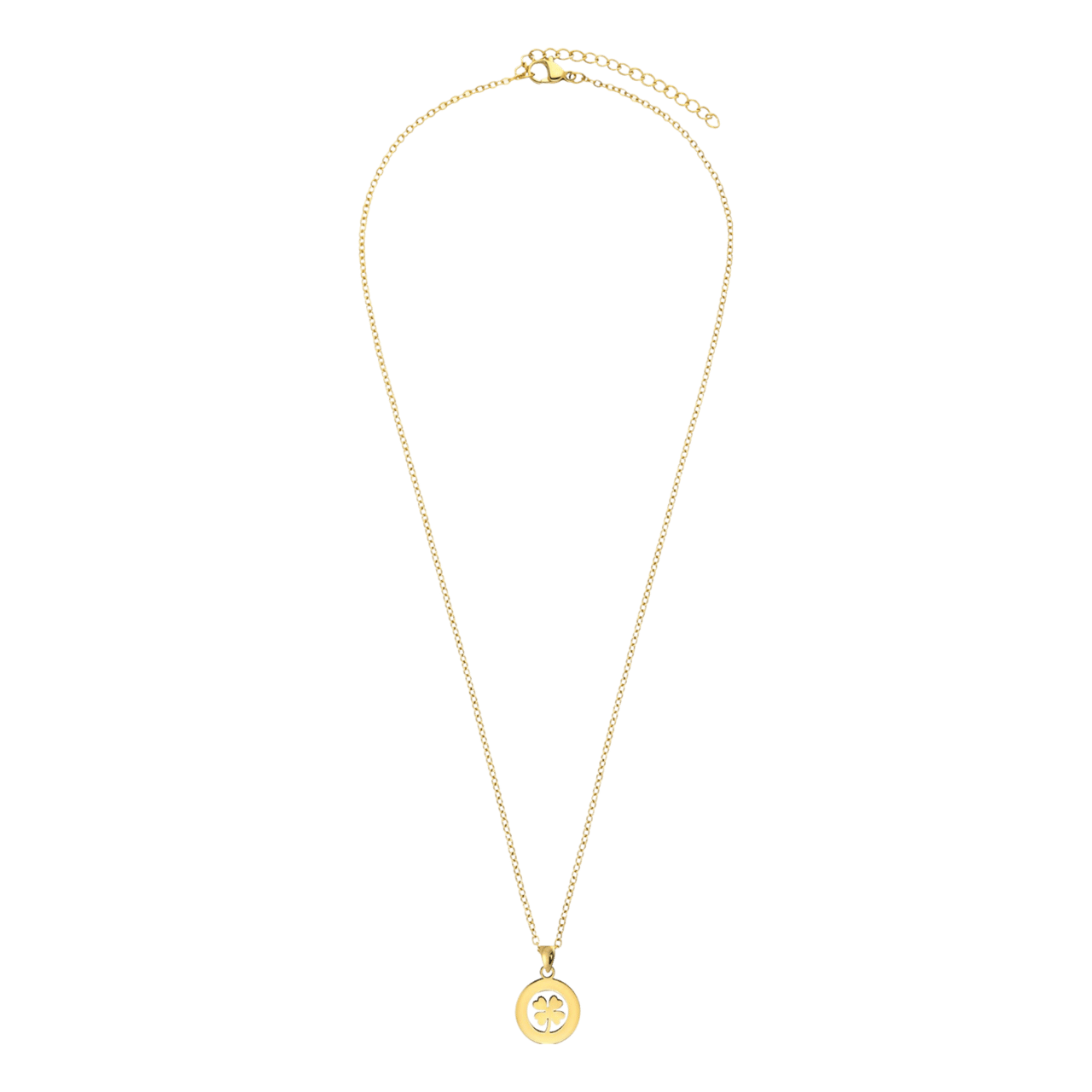 Stainless steel goldplated ketting met hanger munt voor dames