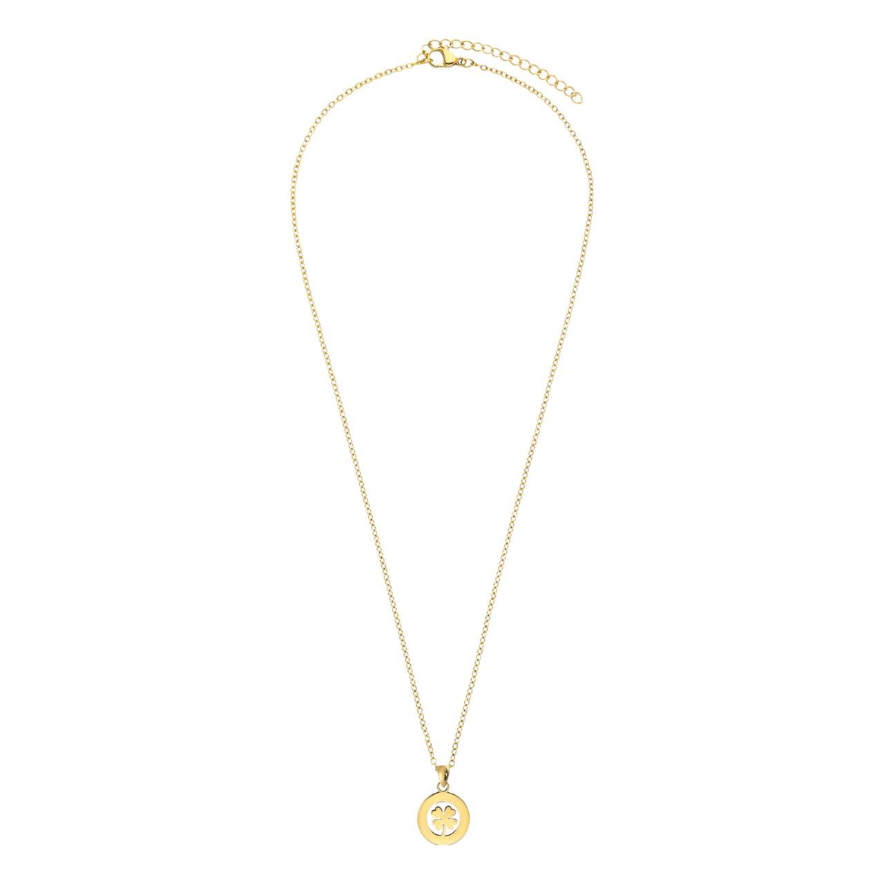 Stalen goldplated ketting met hanger munt voor dames