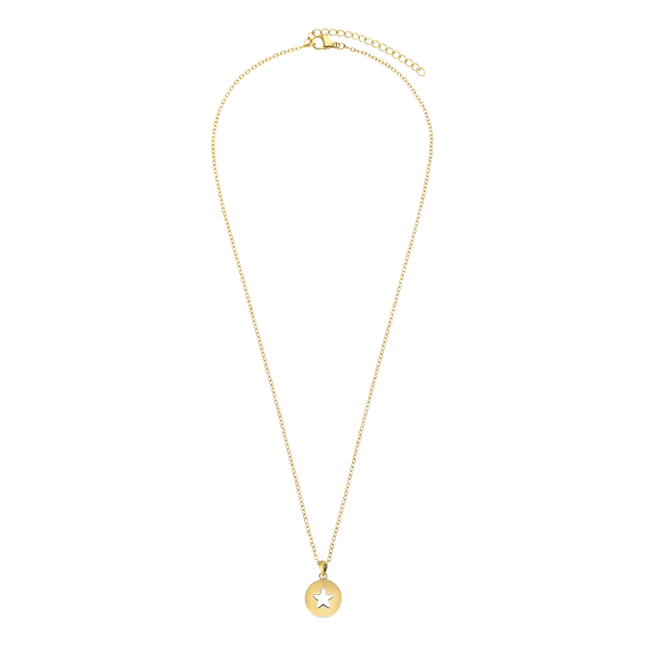 Stainless steel goldplated ketting met hanger ster voor dames