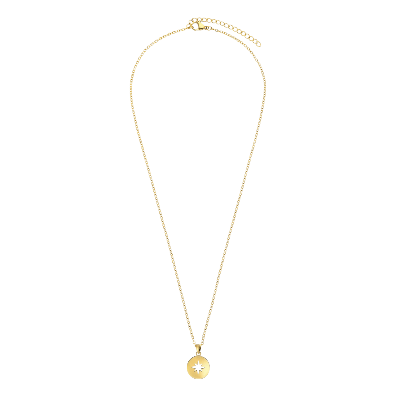 Stainless steel goldplated ketting met hanger Poolster