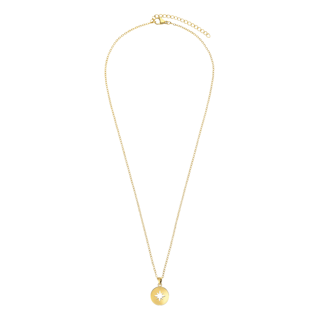 Stalen goldplated ketting met hanger Poolster