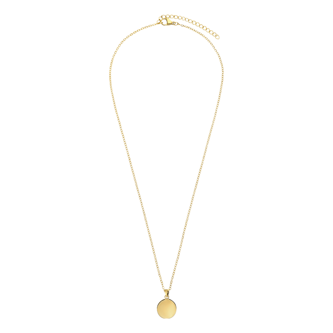 LivLiv stalen goldplated ketting met hanger munt voor dames