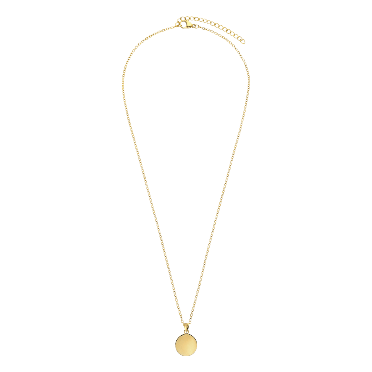 Stainless steel goldplated ketting met hanger munt voor dames