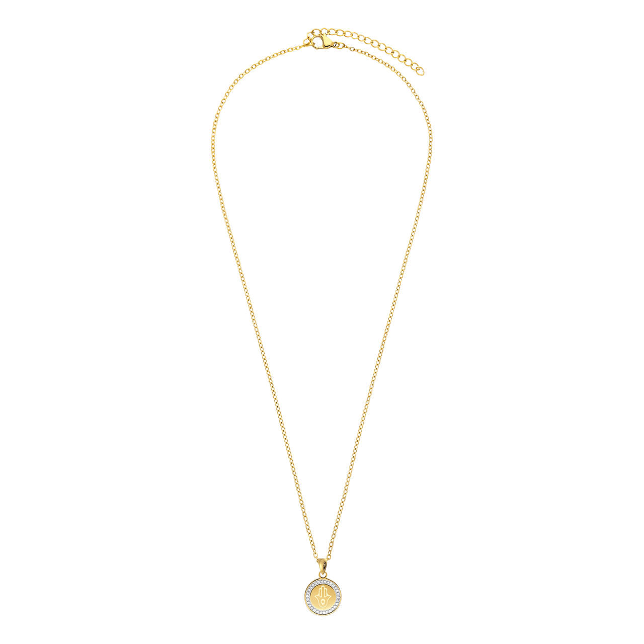 Stainless steel goldplated ketting met hanger munt voor dames