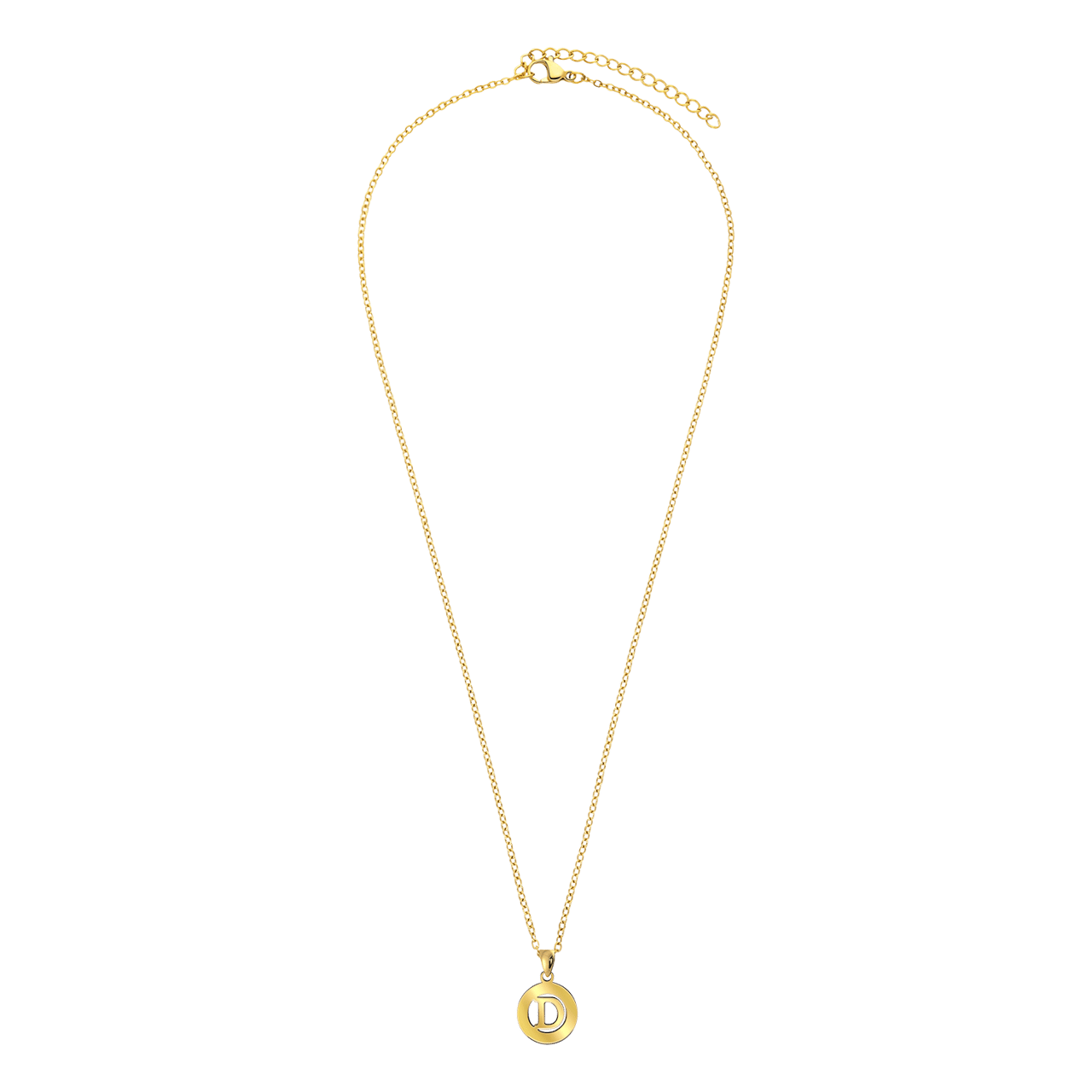 Stainless steel goldplated ketting met letterhanger D voor dames