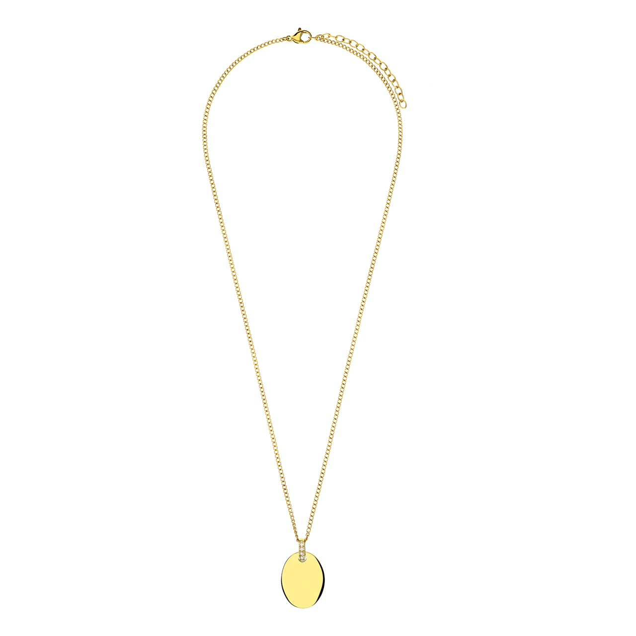 Gerecycleerd stainless steel goldpalted ketting met munt hanger