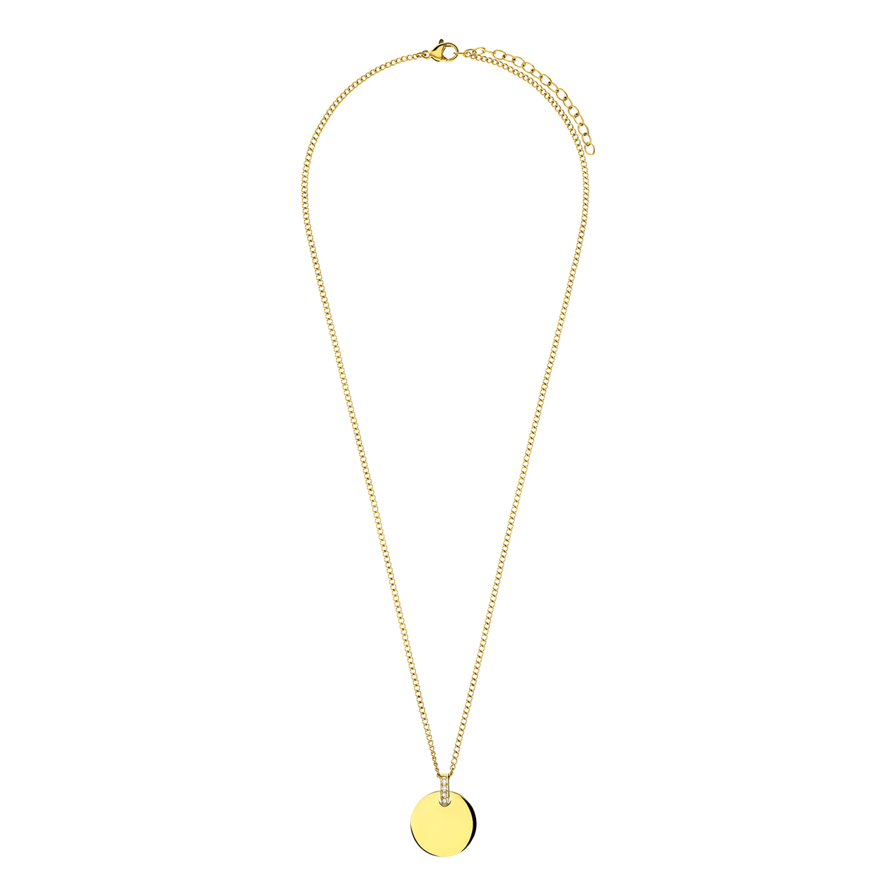 Gerecycleerd stainless steel goldplated ketting met bewerkte munt hanger