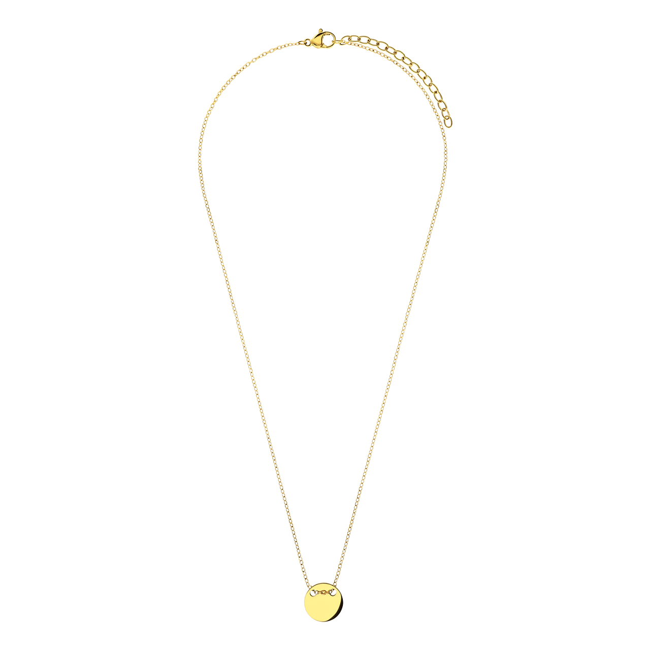 Gerecycleerd stainless steel goldplated ketting met munt hanger