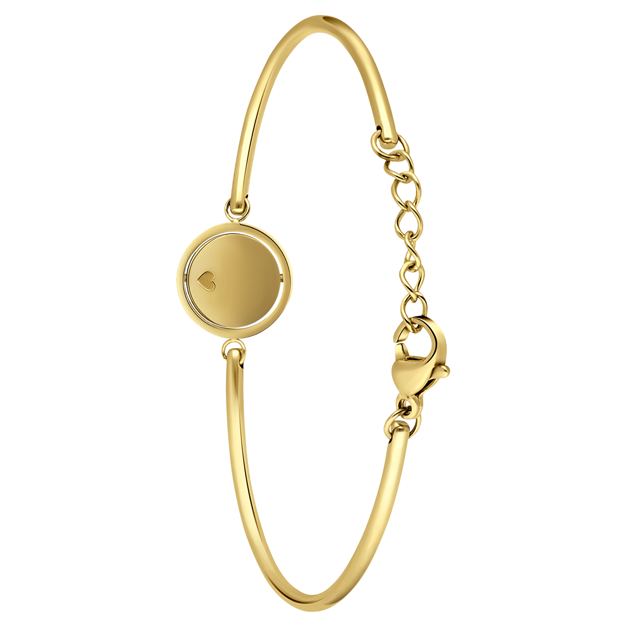 Stainless steel goldplated fantasiearmband munt voor dames