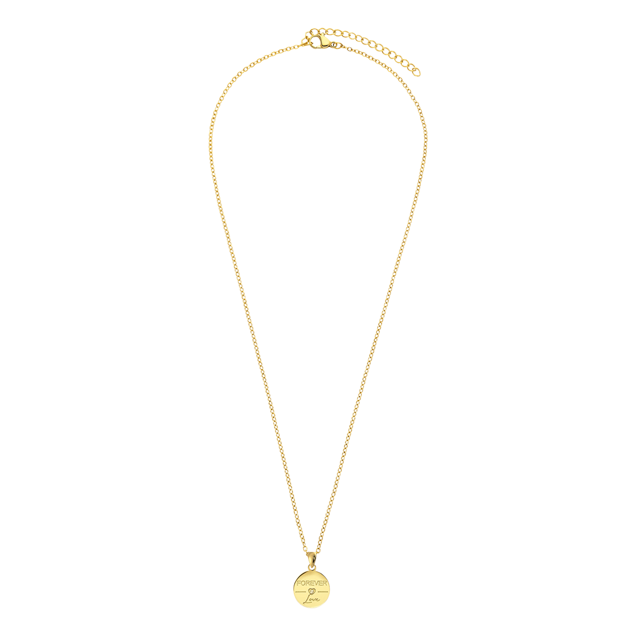 Stainless steel goldplated ketting met hanger munt met zirkonia voor dames