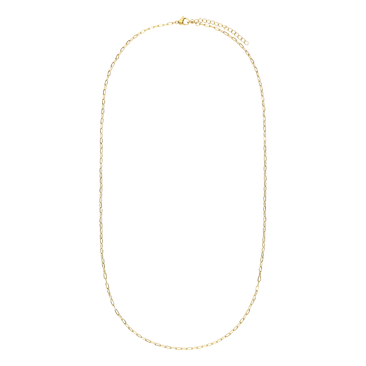 Stainless steel goldplated schakelketting 2mm