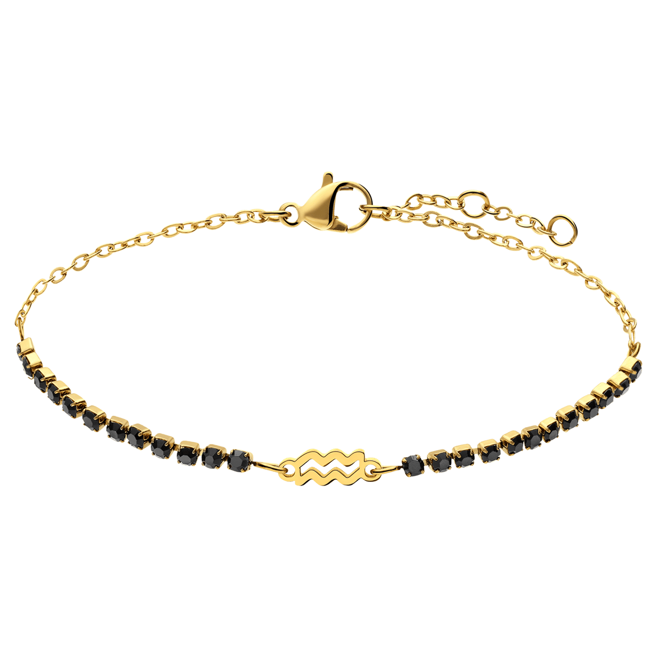 Stainless steel goldplated fantasiearmband met sterrenbeeld Waterman met zirkonia voor dames
