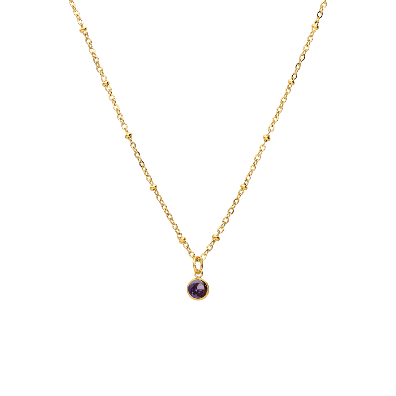 Stainless steel goldplated ketting met geboortesteen hanger februari