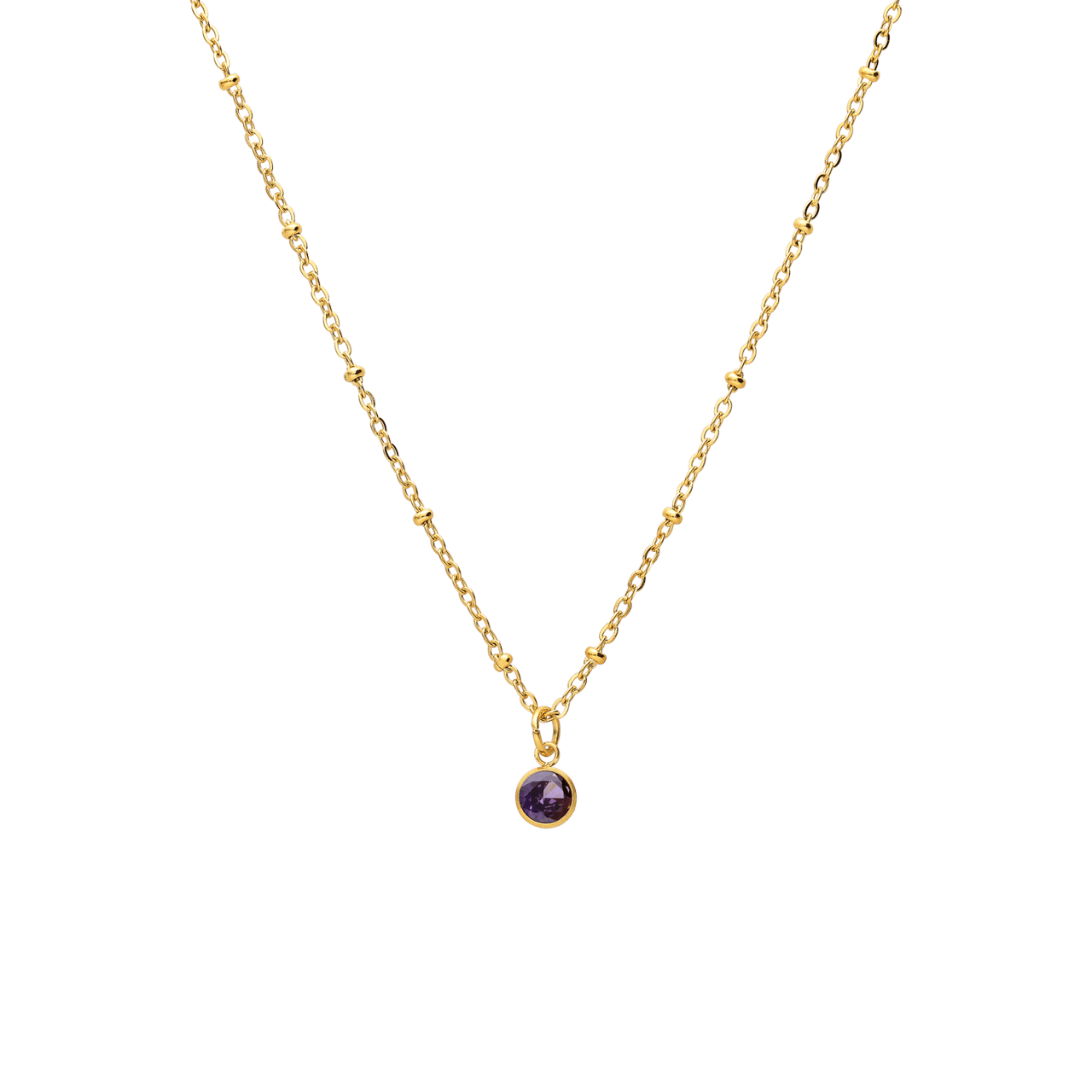 Stalen goldplated ketting met geboortesteen hanger februari