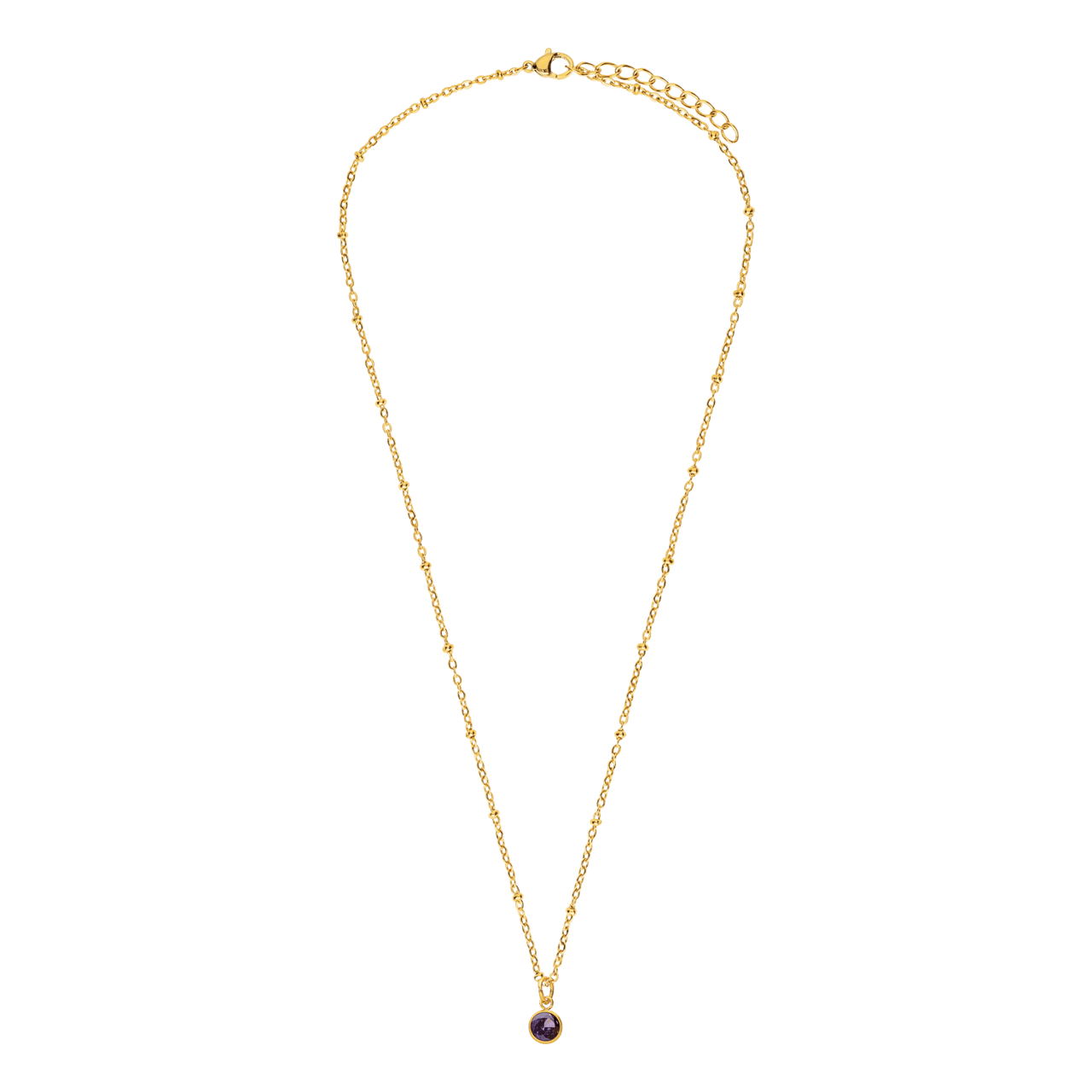 Stalen goldplated ketting met geboortesteen hanger februari