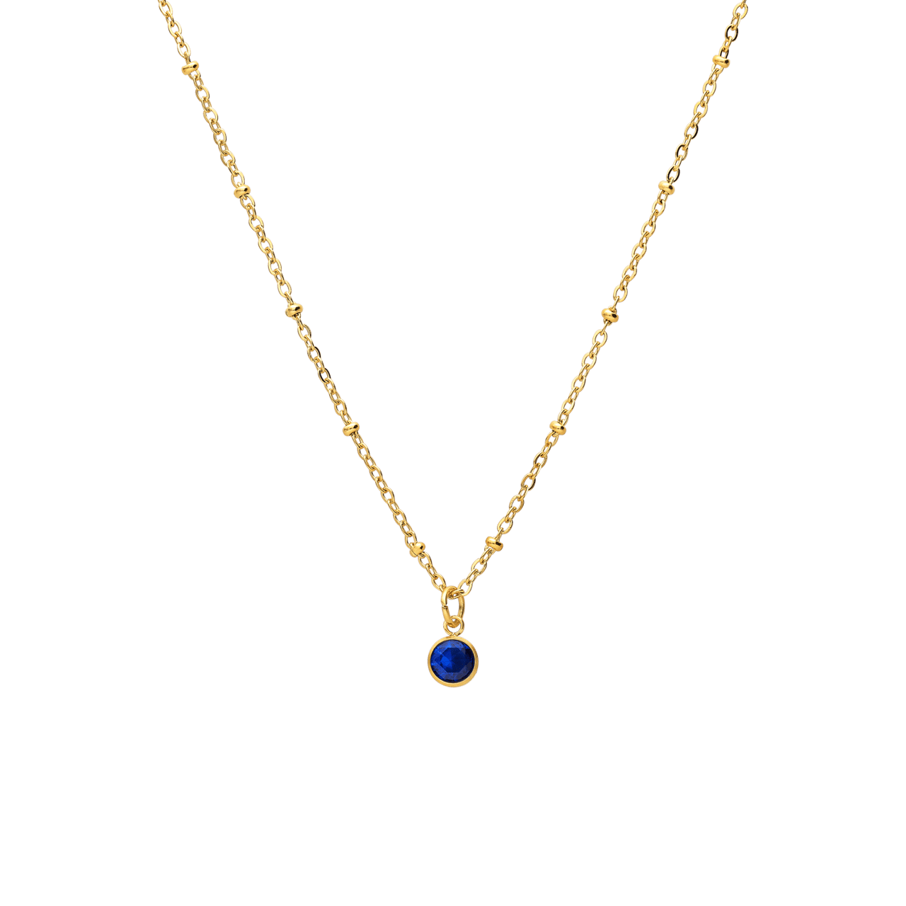 Stalen goldplated ketting met geboortesteen hanger December